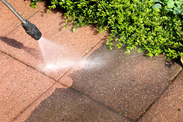 Best Roof Power Washing Services  in Notre Dame, IN